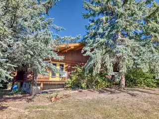 Perfect Equestrian Property