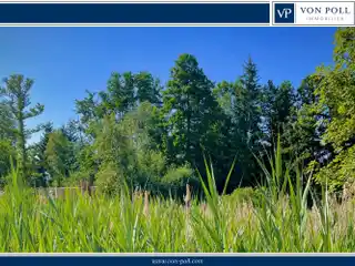 Rare Opportunity Near the Lake