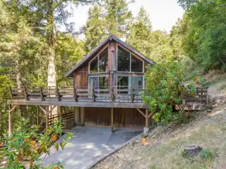 Treehouse Retreat with Mid-Century Character