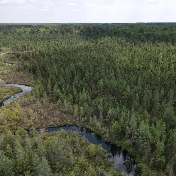 430 ACRES OF PRIVACY