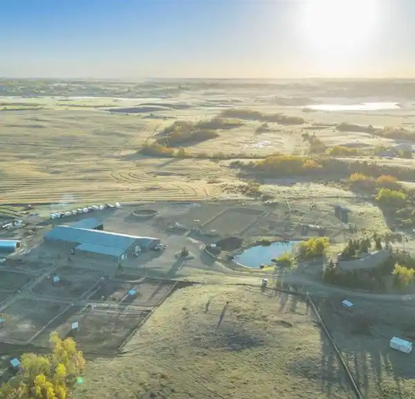 PURPOSE-BUILT EXCELLENCE FOR THE TRUE HORSE ENTHUSIAST