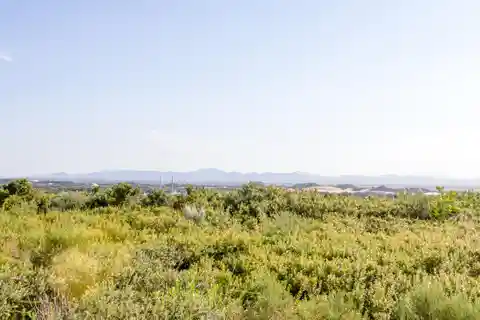 Architecturally Distinctive Home