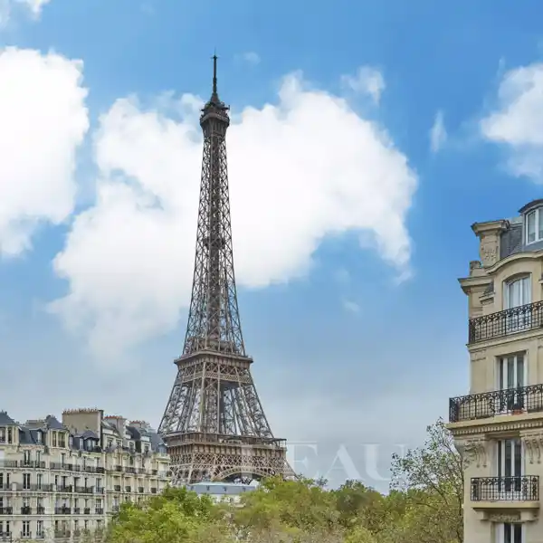 AMAZING EIFFEL TOWER VIEW