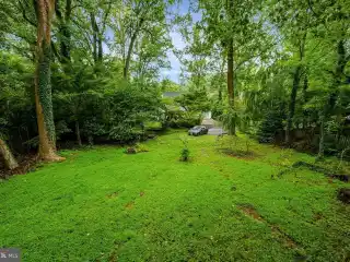 Park-Like Pristine Land