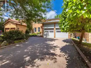 Rare Ravine-Backed Family Gem