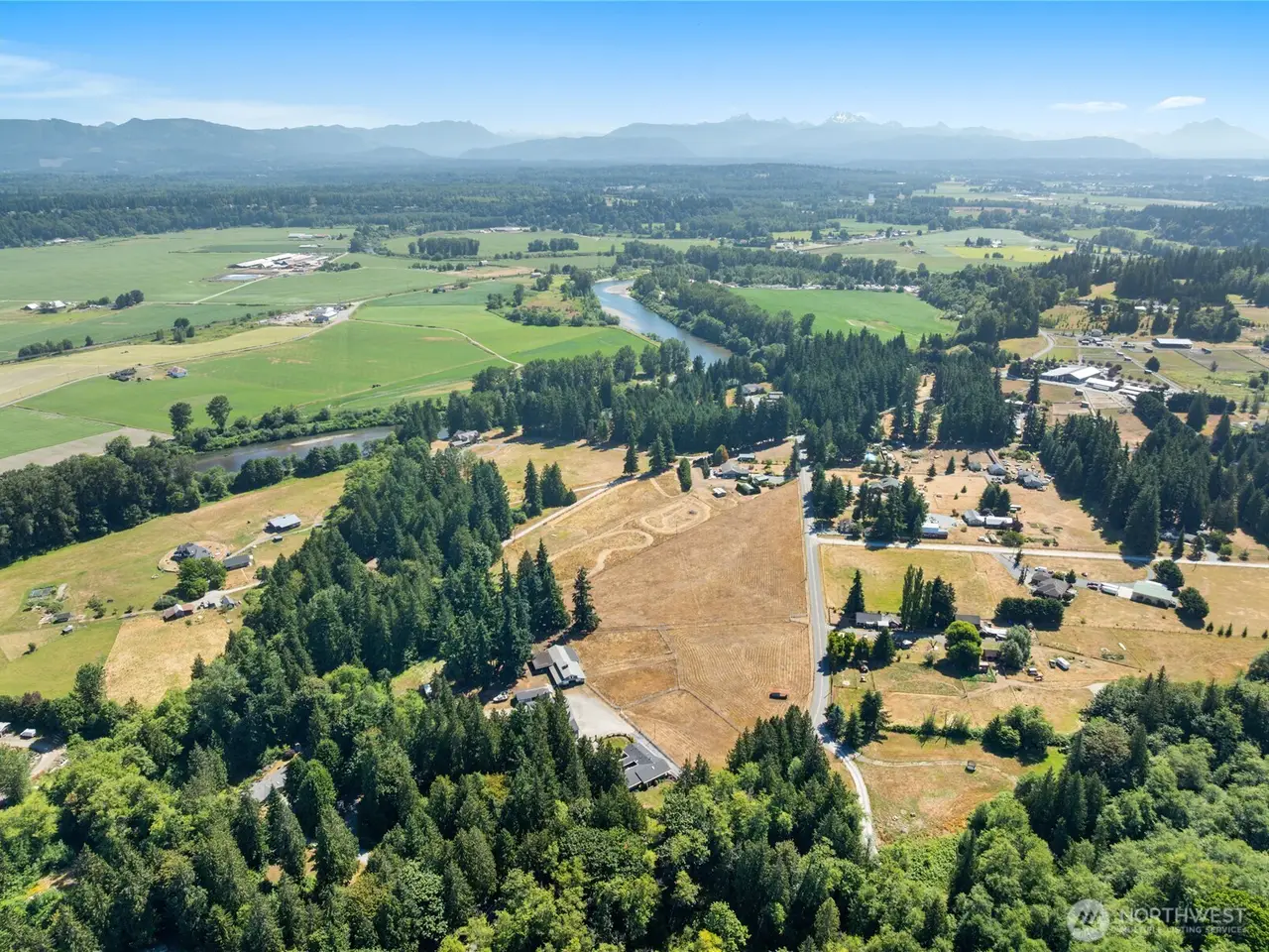 Large Image