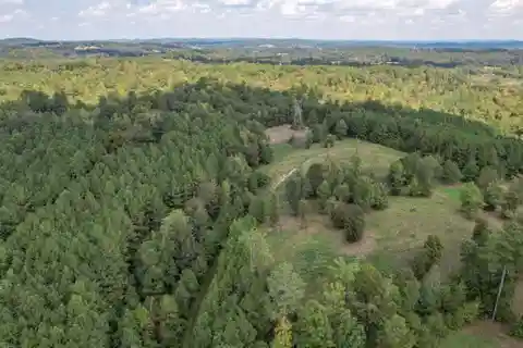 Over 80 Acres in the Heart of Bradley