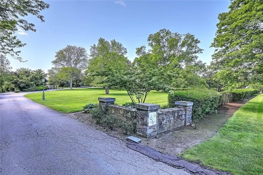 Large Image