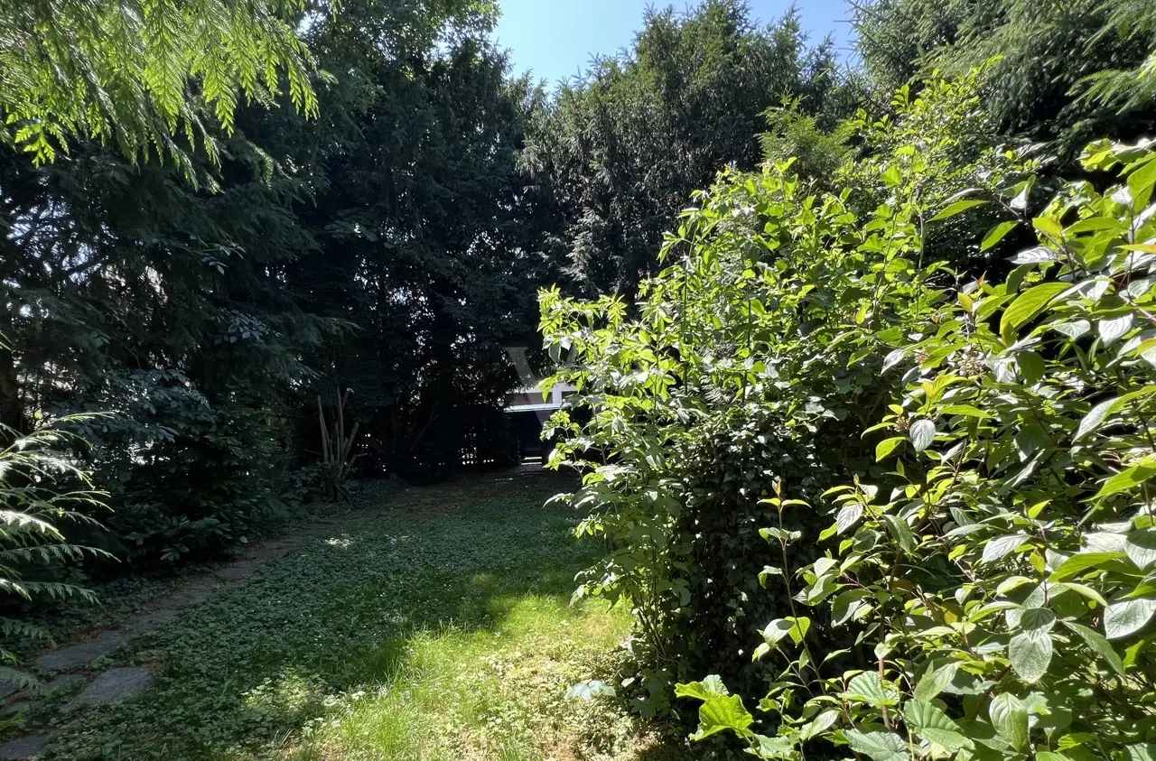 Small Image