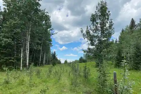Rare Land Opportunities in the Foothills of Alberta