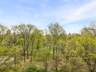 Aristocratic Pre-war Eight-room Home with Park Views