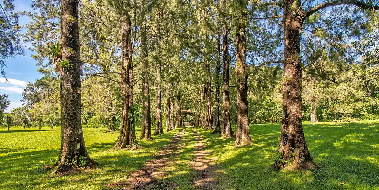 Amazing Lot in Heredia