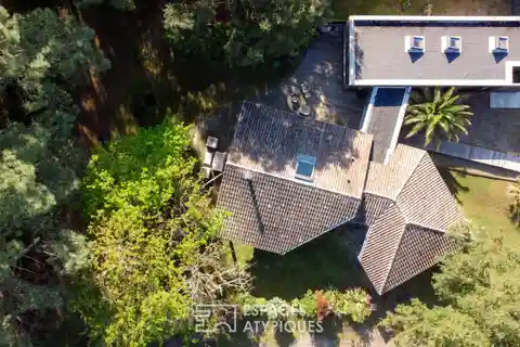 Unique Home at the Forest's Edge
