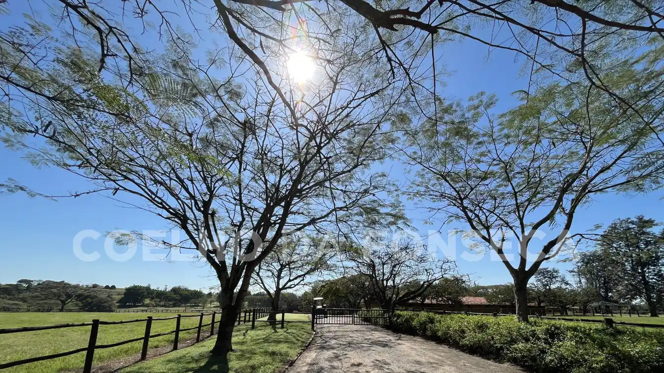 Sprawling Horse Property