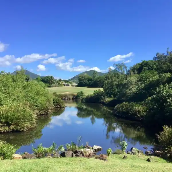 SUPERB LUXURY VILLA IN THE ANAHITA FOUR SEASONS