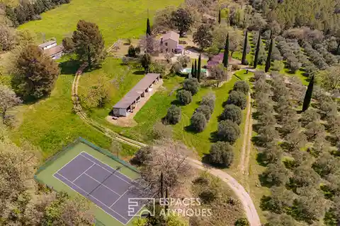 Authentic Farmhouse Amidst Majestic Olive Grove