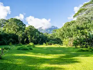 Create Your Own Oasis