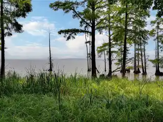 Thoughtfully Designed and Executed Home Near James River