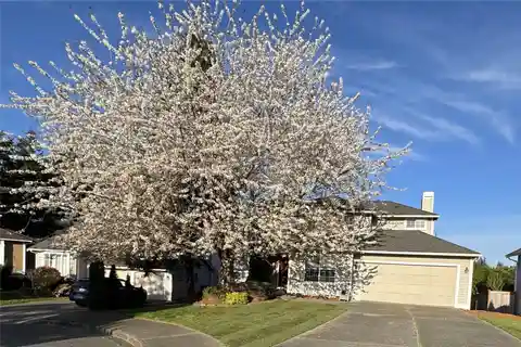 Updated Home on a Private Lot in Sought-after Summerwind