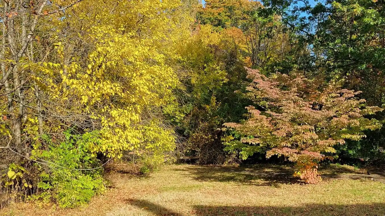 One-of-a-kind Two-acre Property