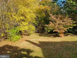One-of-a-kind Two-acre Property