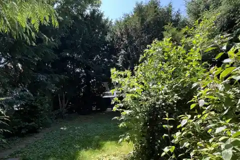 Create Your Eclectic Escape