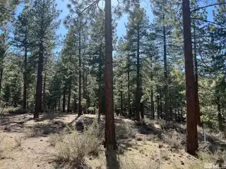 Perfect Near-Acre Property