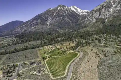 Beautifully Appointed New Custom Home