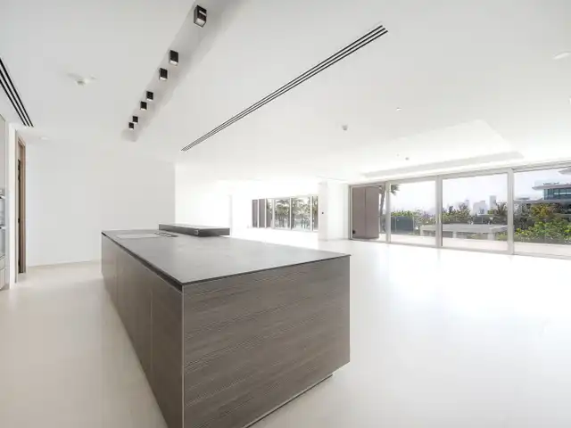 Large Image