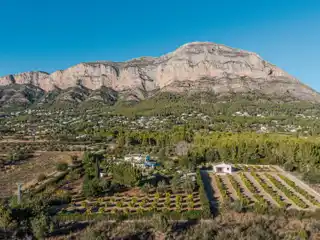 Exquisite Mediterranean Villa Surrounded by Fruit Groves