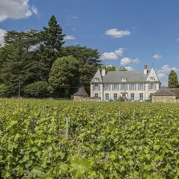 ELEGANT MANOR HOUSE IN PERFECT CONDITION