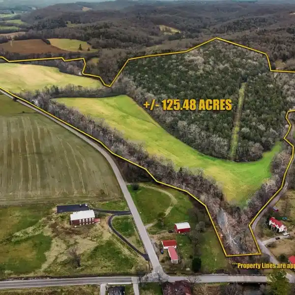 FERTILE FARM PROPERTY WITH SEVERAL BUILDING SITES