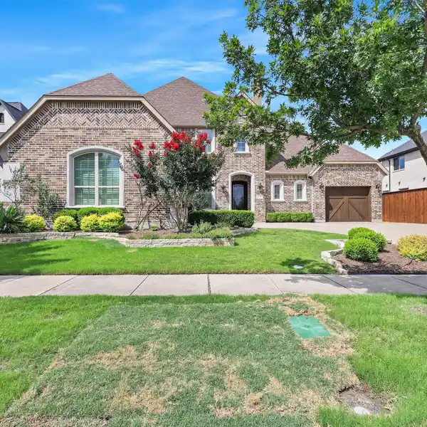 SUN-DRENCHED SANCTUARY