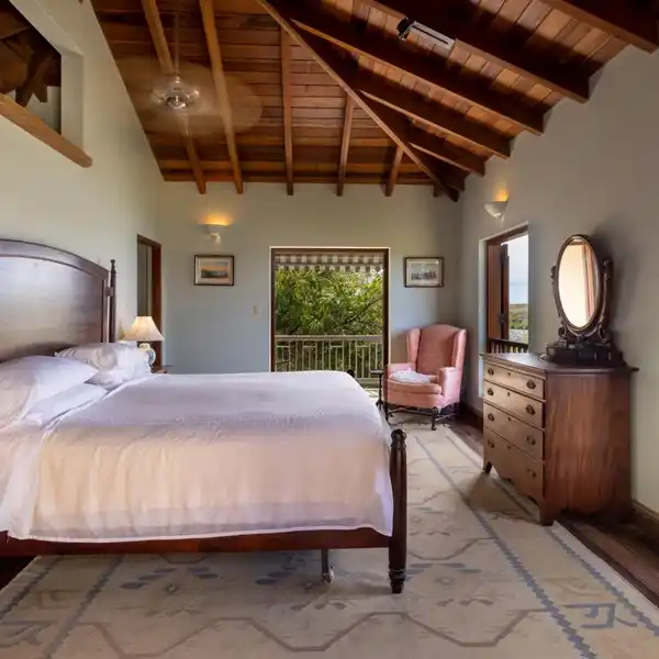 INCREDIBLE PELICAN POINT