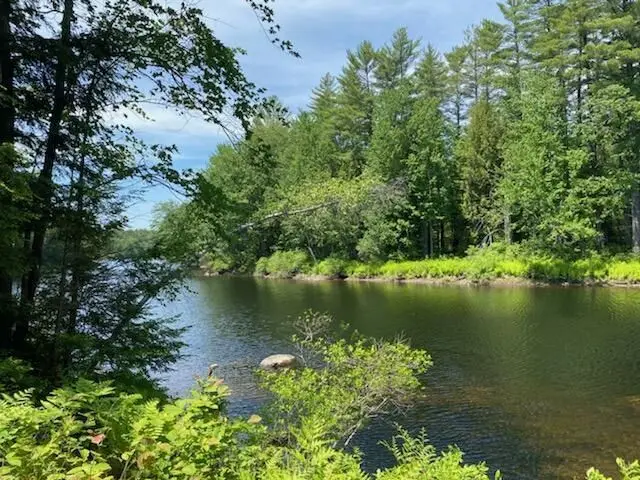Large Image