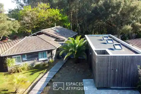 Unique Home at the Forest's Edge