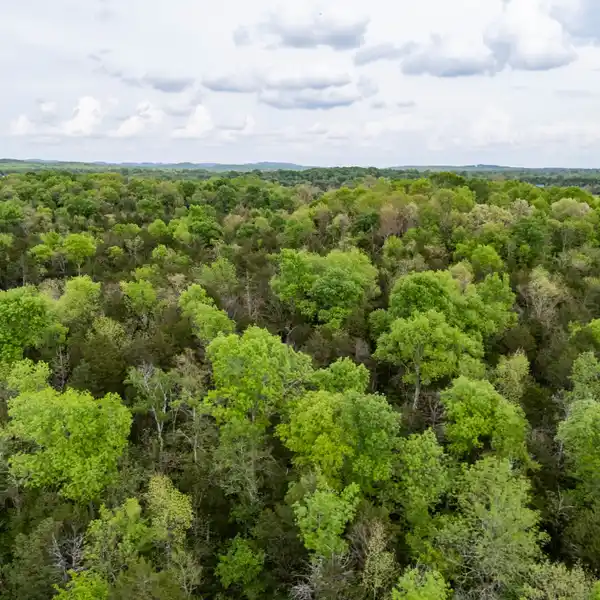 EXCEPTIONAL PROPERTY IN THE SOUGHT-AFTER SPRING HILL AREA