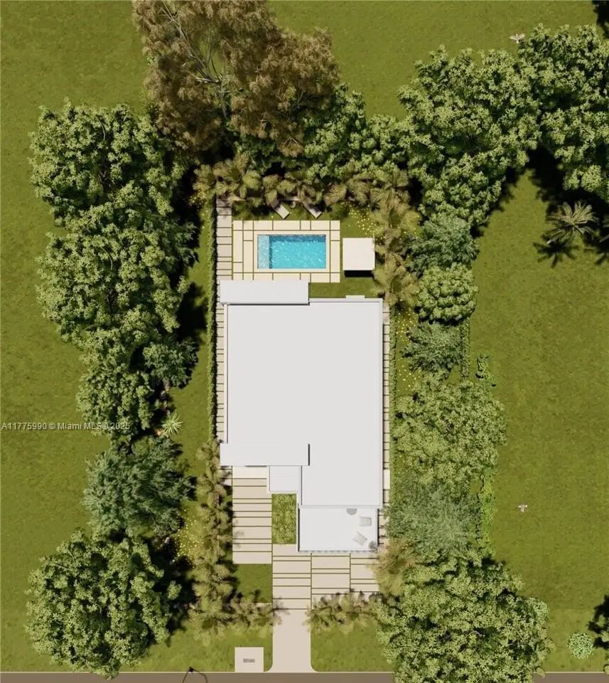 Large Image