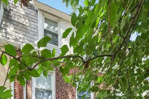 Classic Forest Hills Charm Meets Modern Living