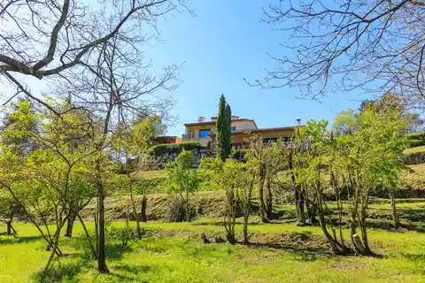 Contemporary Elegance in a Natural Setting