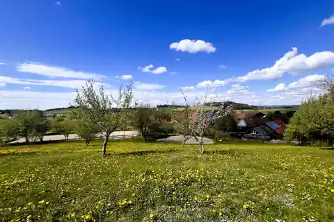 Expansive Equestrian Property