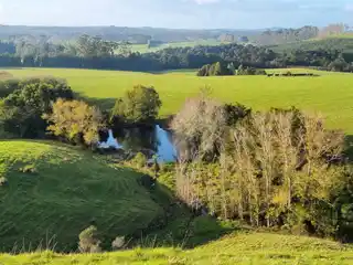 Come Build Your Dream Home on This Large Holding of 222 Acres