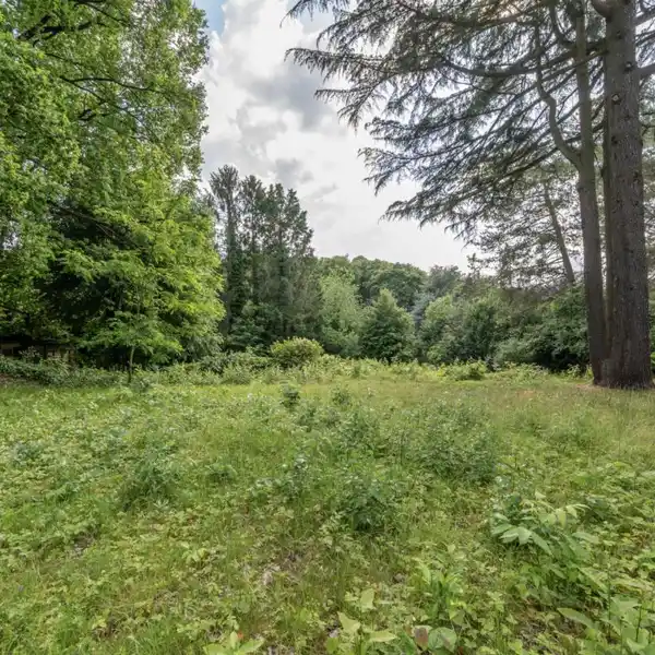 SUN-FILLED RURAL RETREAT WITH NATURE SURROUNDINGS