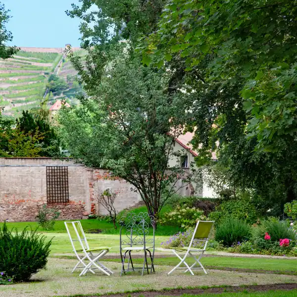 RENOVATED CIRCA 1870 VILLA WITH VINEYARD VIEWS