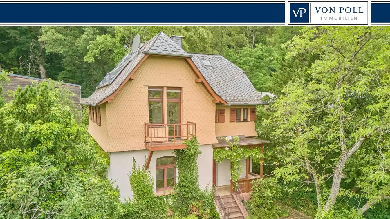Rarity at the Edge of the Forest on a Dreamlike Property