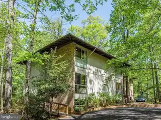 Mid-century Modern Gem with Tree-top Views