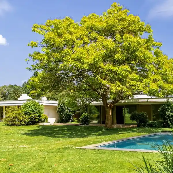 EXCEPTIONAL ZEN-STYLE CONTEMPORARY