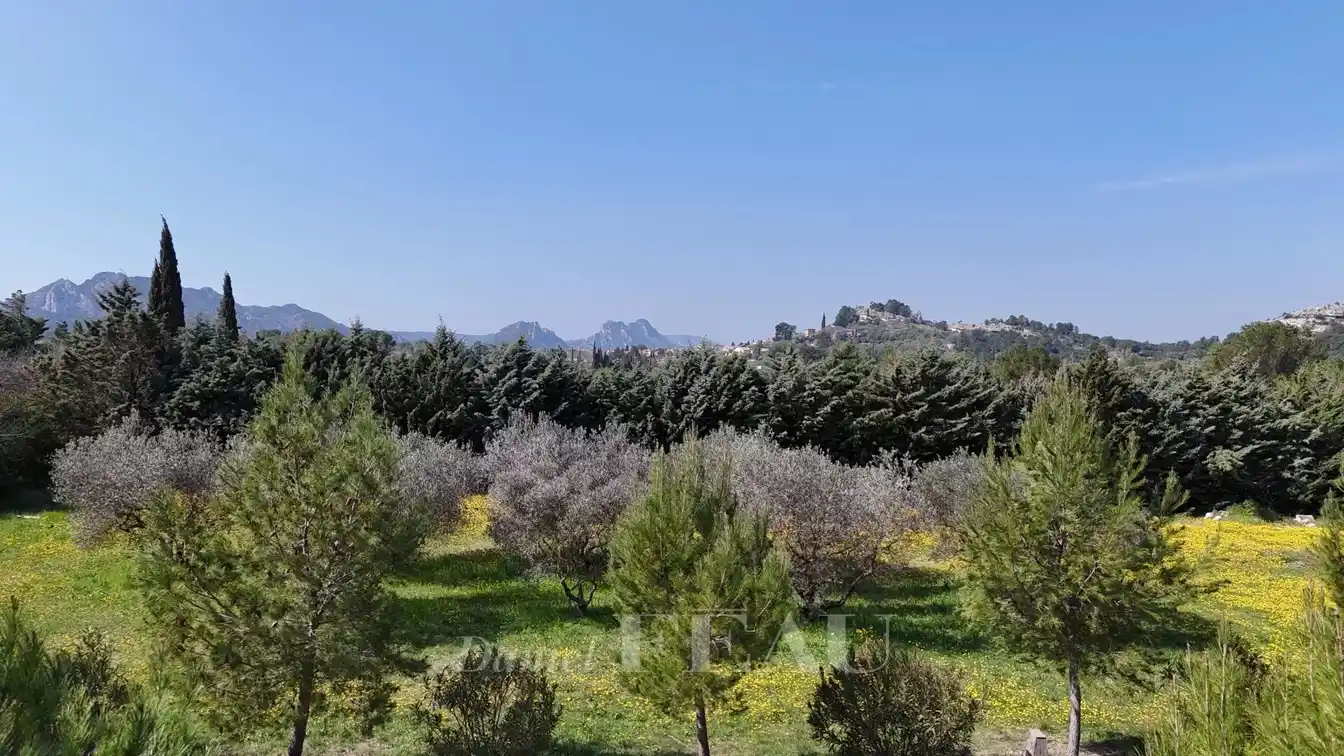 Spectacular Opportunity to Renovate