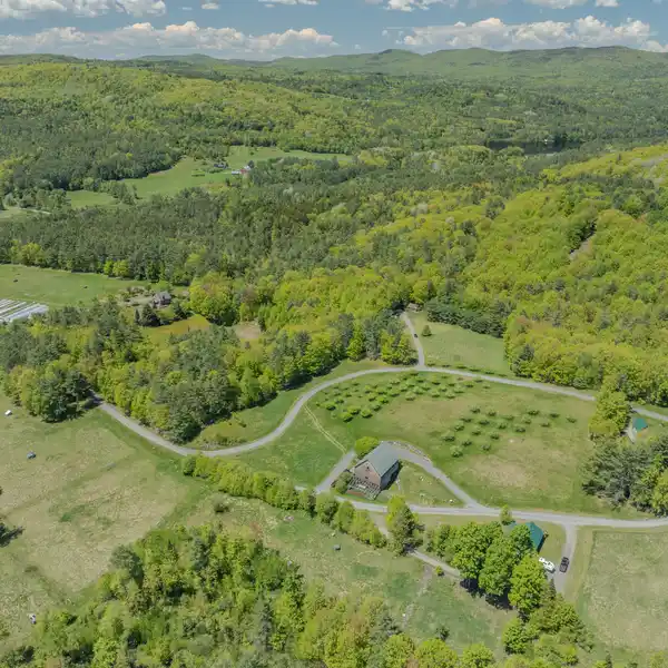 114 ACRE ESTATE IN LISBON