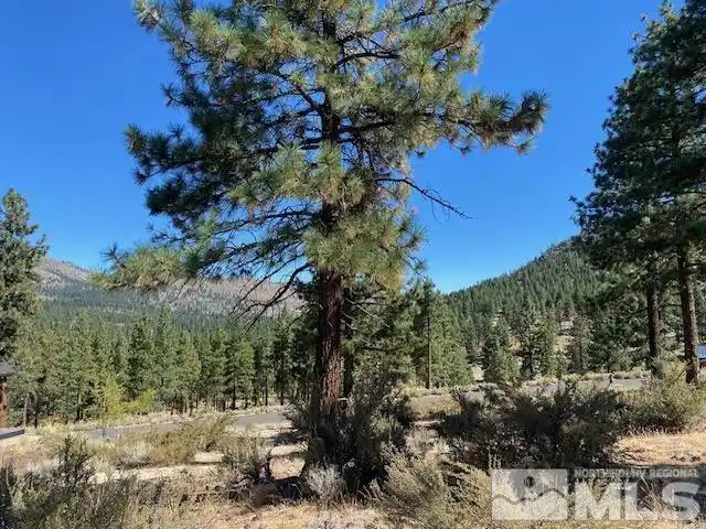 Magnificent Luxury Living at Clear Creek Tahoe